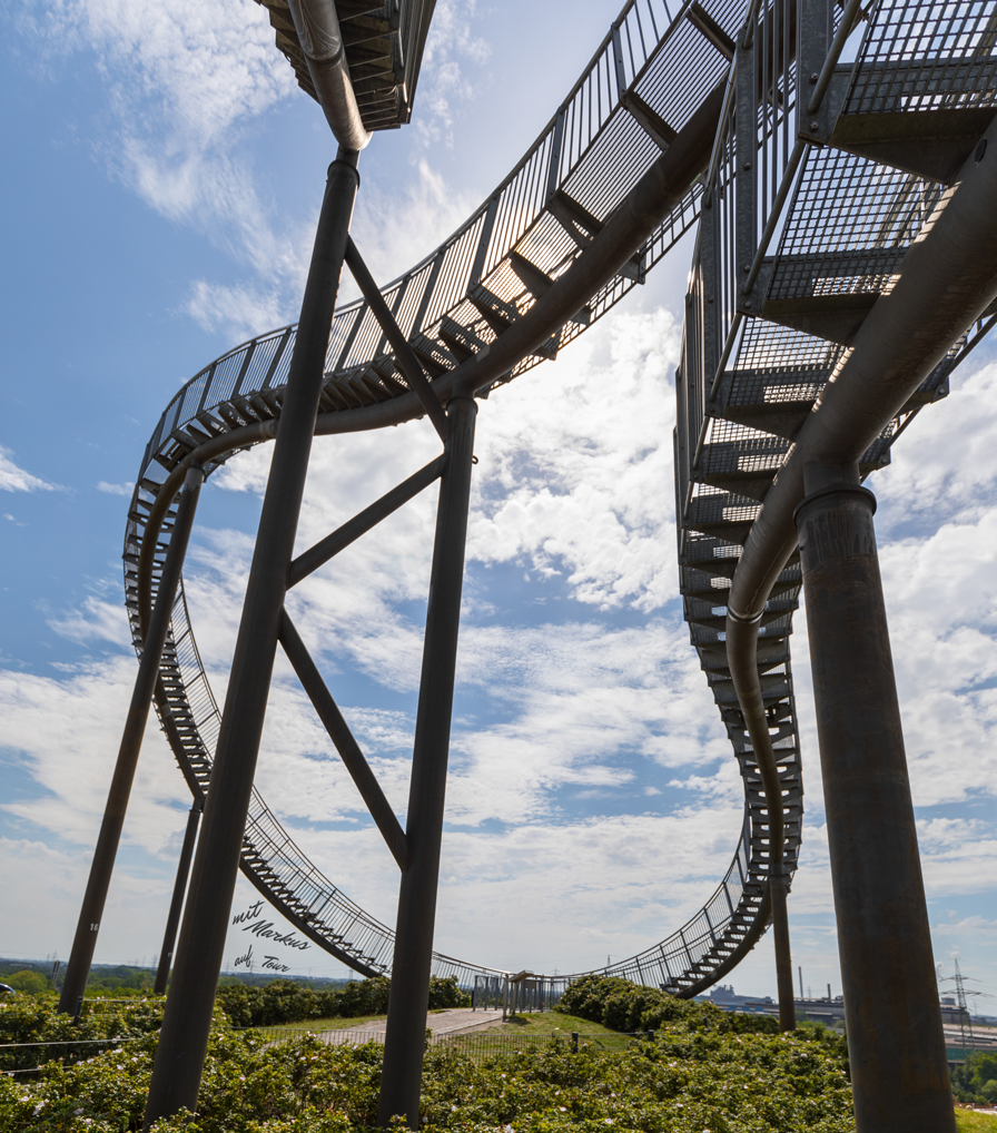 Tiger & Turtle
