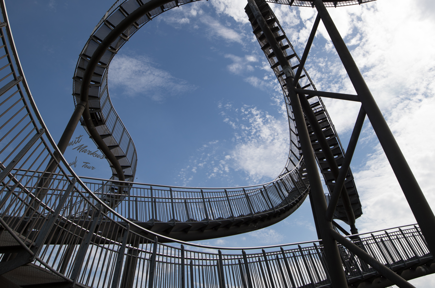 Tiger & Turtle