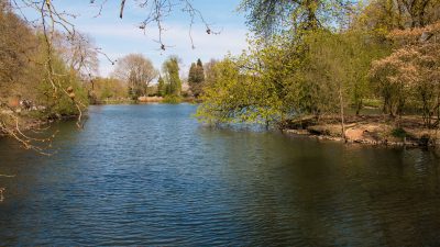 Rombergpark Dortmund