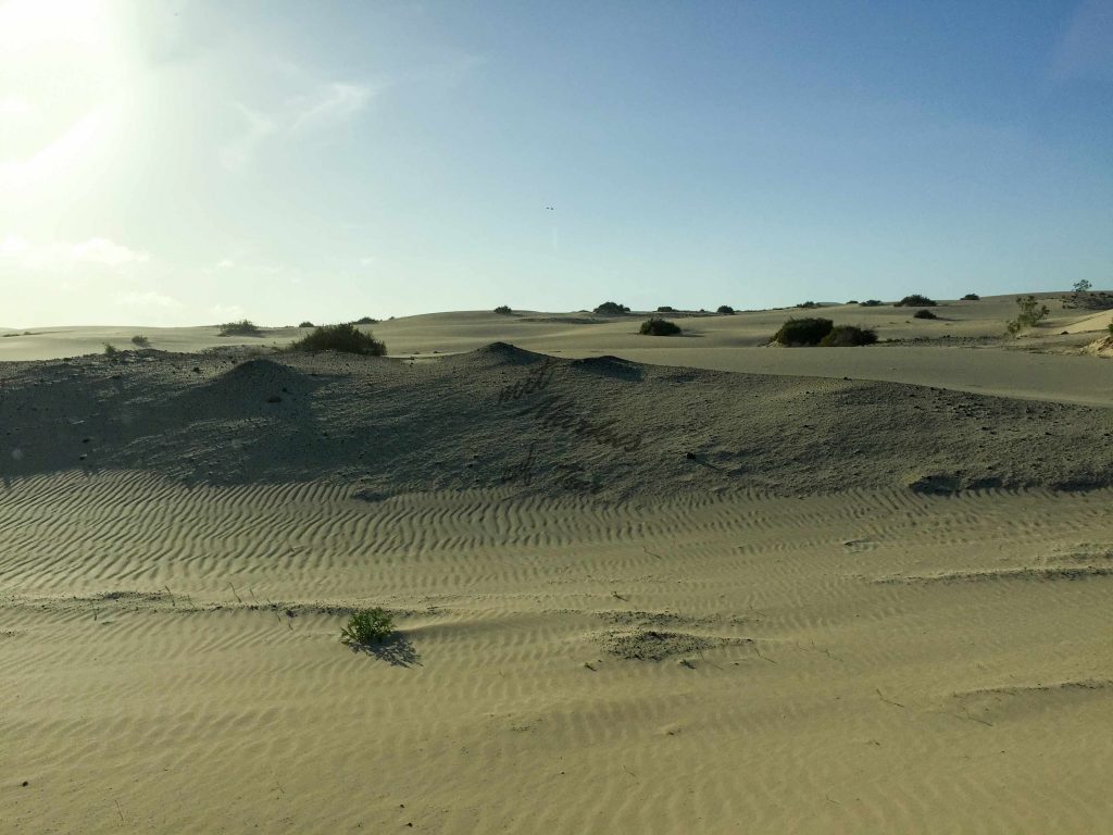 Parque Natural de Corralejo