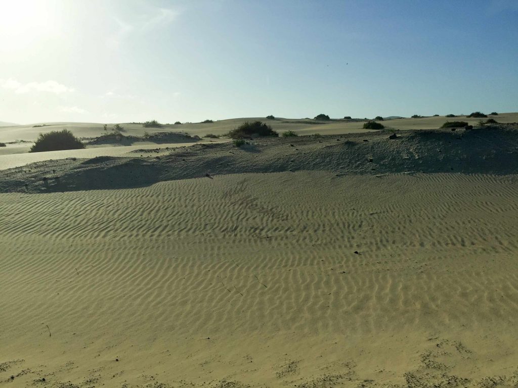Parque Natural de Corralejo